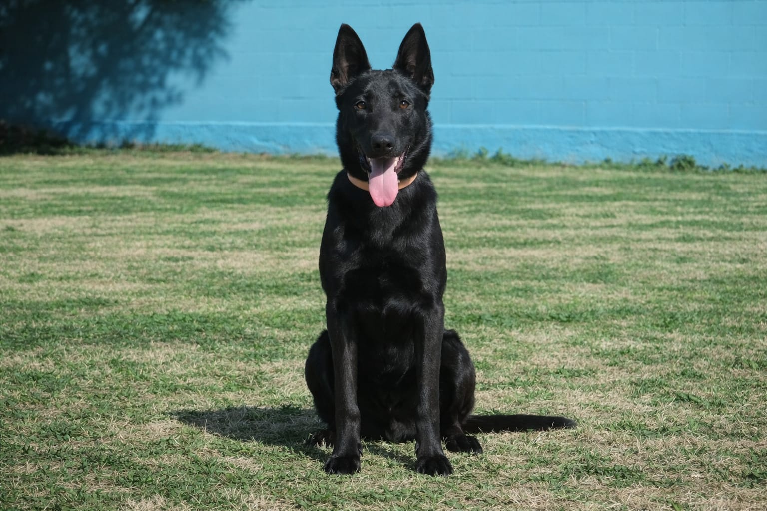 Kael, imagen 3
